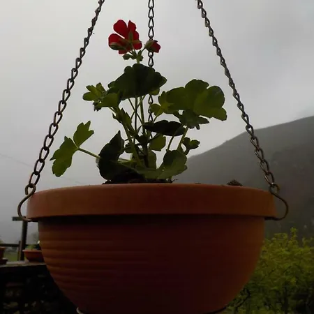 Picu Turbina Rozagás